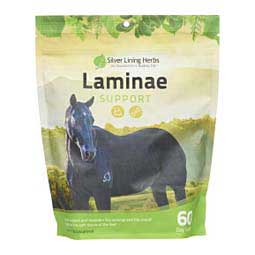 Laminae Support Herbal Formula for Horses  Silver Lining Herbs